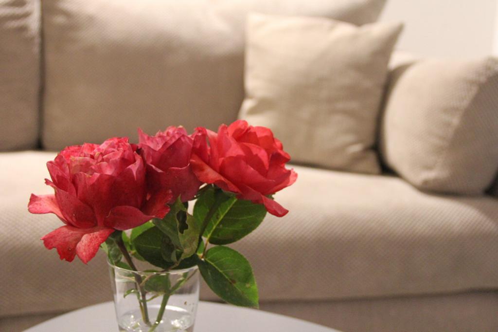 Filipa Apartment Kotor Dış mekan fotoğraf
